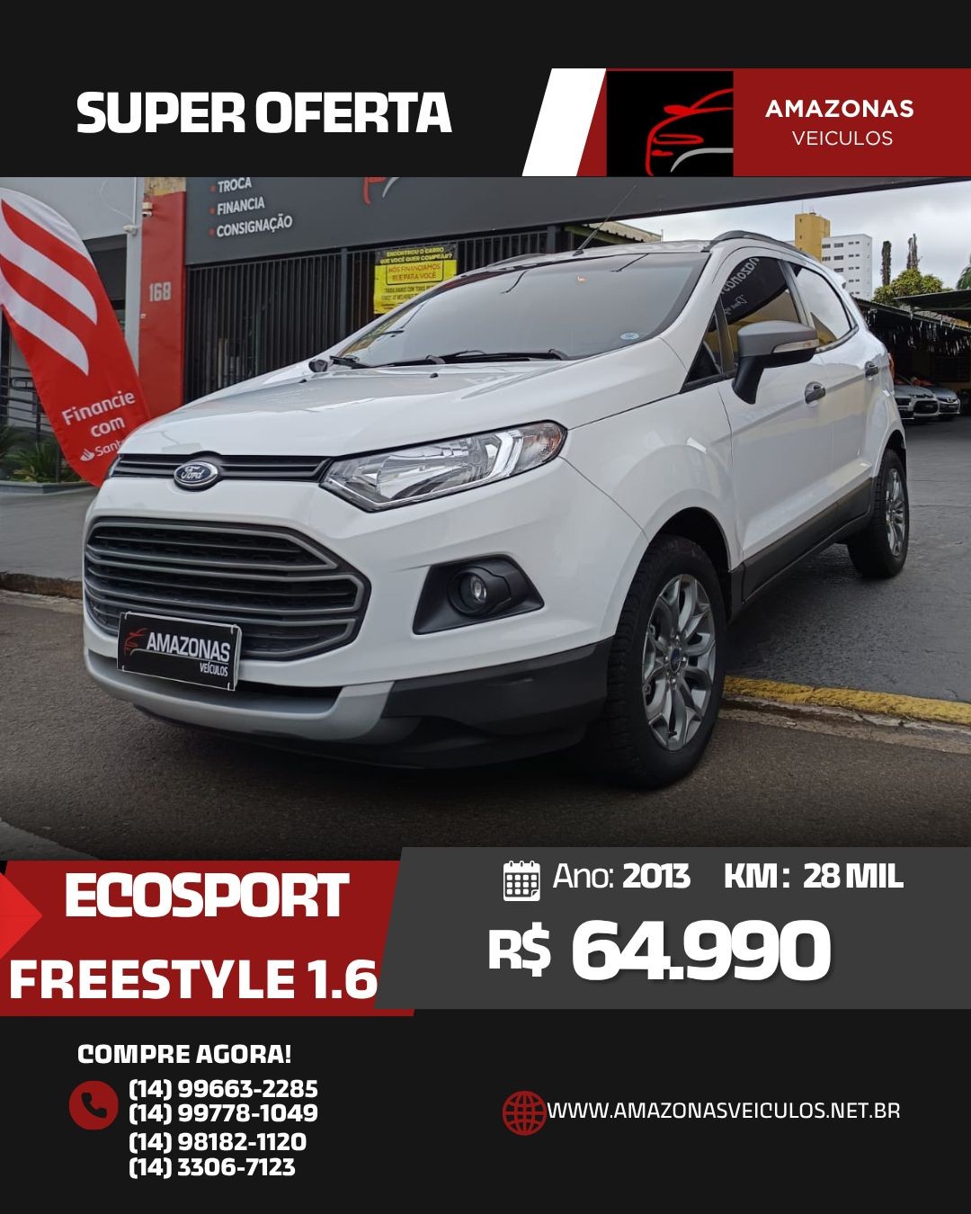 ECOESPORT FSL 1.6 - FLEX MANUAL